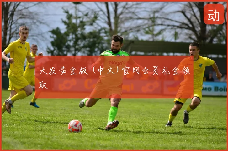 大发黄金版 (中文)官网会员礼金领取