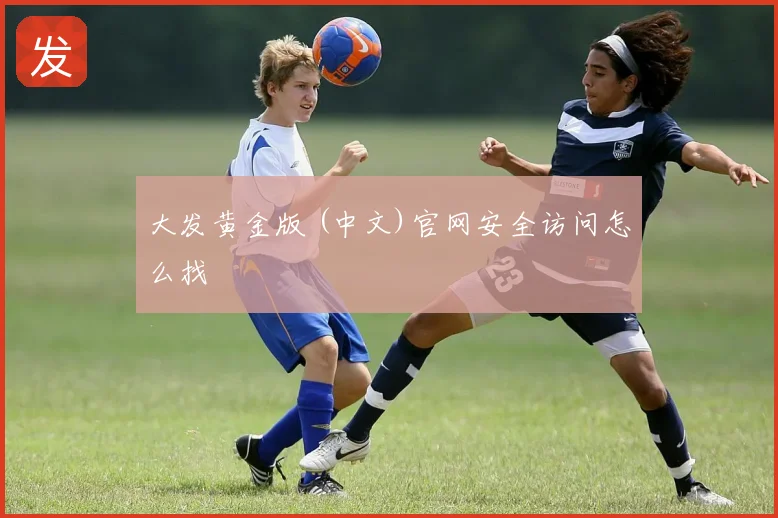 大发黄金版 (中文)官网安全访问怎么找
