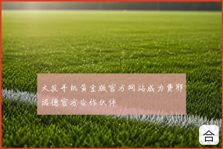 大发手机黄金版官方网站成为费耶诺德官方合作伙伴